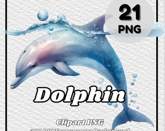 Dolphin Clipart PNG – 21 Transparent Watercolor Images (Digital Download)