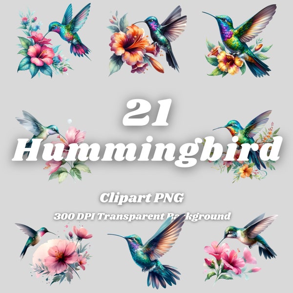 Hummingbird Clipart – 21 PNG Files, Floral Illustration (Digital Download)