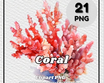 Korall Clipart PNG Set – 21 transparenta bakgrundsbilder (digital nedladdning)