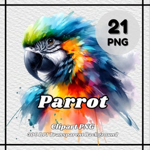 Parrot PNG - 21 Parrot Clipart - PNG Files, Transparent Background, 300 DPI, Ideal for Personal and Commercial Use.