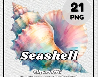 Zeeschelp Clipart PNG - 21 aquarel schelpen (digitale download)