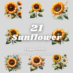 Sunflower PNG - 21 Sunflower Clipart - PNG Files, Transparent Background, 300 DPI, Ideal for Personal and Commercial Use.