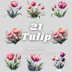 Tulip PNG - 21 Tulip Clipart - PNG Files, Transparent Background, 300 DPI, Ideal for Personal and Commercial Use.