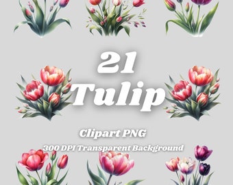 Tulpan Clipart – 21 PNG-blommiga illustrationer, transparent bakgrund (digital nedladdning)