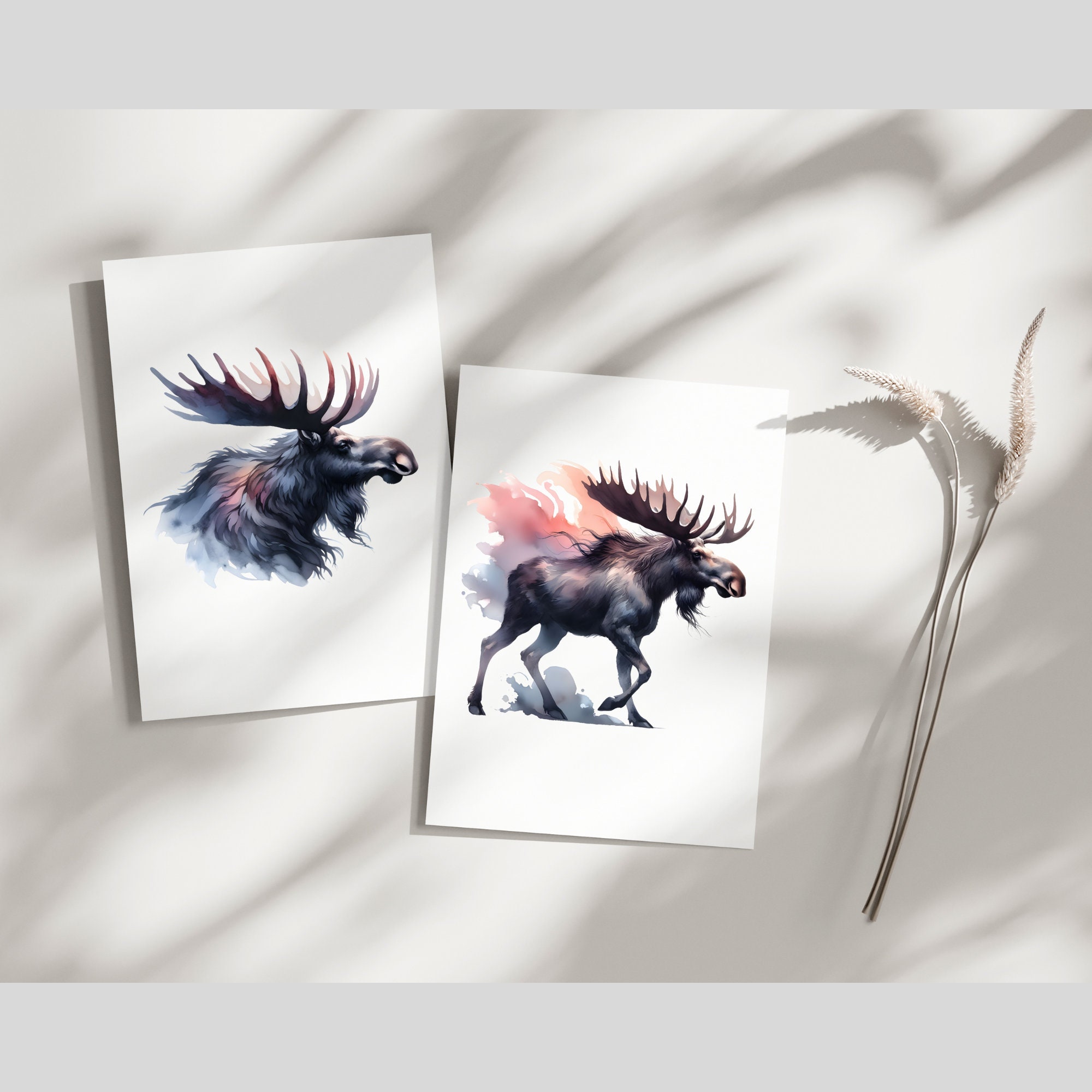 Moose Clipart – 21 PNG Images, Transparent Background (digital Download ...