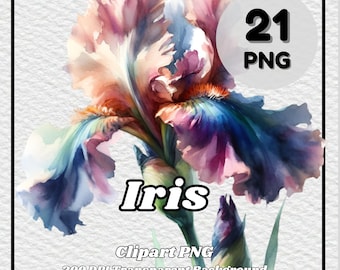 Iris Clipart – 21 Watercolor Floral PNG Images (300 DPI)