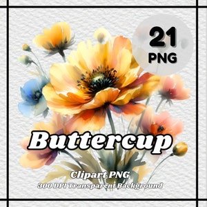 Buttercup PNG - 21 Buttercup Clipart - PNG Files, Transparent Background, 300 DPI, Ideal for Personal and Commercial Use.