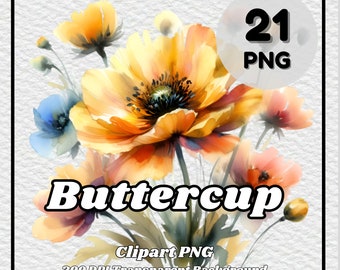Buttercup Clipart – 21 Floral PNG Images (Digital Download)