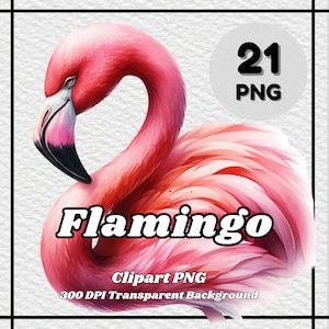 フラミンゴ PNG - 21 個のフラミンゴ クリップアート - PNG ファイル、透明な背景、300 DPI、個人および商業での使用に最適です。