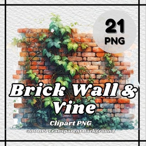 Vine PNG - 21 Vine Clipart - PNG Files, Transparent Background, 300 DPI, Ideal for Personal and Commercial Use.