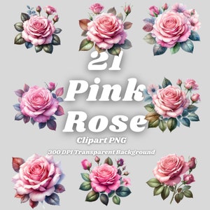Pink Rose PNG - 21 Pink Rose Clipart - PNG Files, Transparent Background, 300 DPI, Ideal for Personal and Commercial Use.