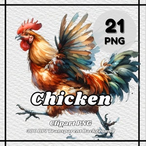 Chicken PNG - 21 Chicken Clipart - PNG Files, Transparent Background, 300 DPI, Ideal for Personal and Commercial Use.