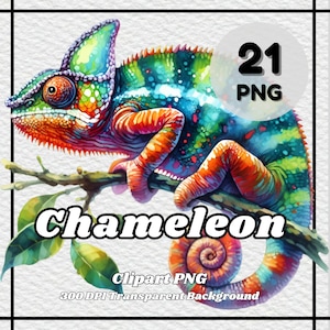 Chameleon PNG - 21 Chameleon Clipart - PNG Files, Transparent Background, 300 DPI, Ideal for Personal and Commercial Use.