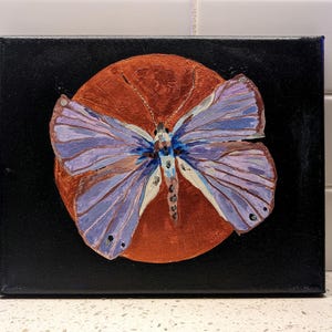 Echinargus isola