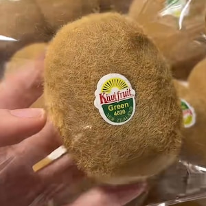 May include: A close-up of a single brown kiwi fruit with fuzzy brown skin. The kiwi is labeled "Kiwi fruit Green 4030 New Zealand".