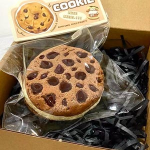 Op de afbeelding: Een chocolade chip cookie in een doorzichtige plastic zak, in een bruine kartonnen doos met zwart gescheurd papier. De cookie is een realistische replica van een chocolade chip cookie. De doos heeft een sticker met de tekst "Cookie Nice Meal!!! Baking Pastries".