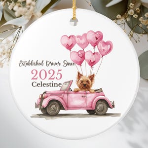Personalized New Driver Ornament Dog Lover First Christmas Gift for Teen Driver Cute License Keepsake Car Ornament for Tree Birthday Present
