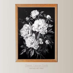 Black and White Peony Art Print - Vintage Floral Botanical Illustration - Elegant Digital Download - Dark Aesthetic Wall Decor