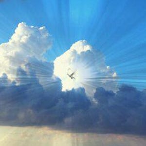Allah Pact to Bring You Closer to God