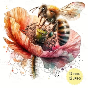 Watercolor Bee on Flowers Clipart and Posters, adorable Bee, Files 12 JPEG - 12 PNG, Digital Download for commercial use