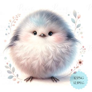 Adorables pájaros azules esponjosos Clipart - Pósteres de acuarela, 12 PNG, 12 JPEG, colecciones de dibujos animados de pájaros lindos, descarga digital instantánea.
