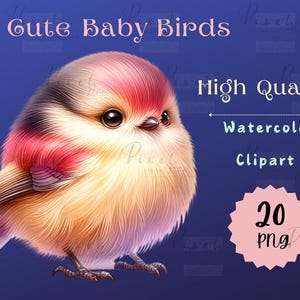 Imágenes prediseñadas de lindos pájaros bebés: acuarela, PNG, pájaros lindos, imágenes prediseñadas de fantasía, colecciones de dibujos animados de pájaros, descarga digital instantánea.