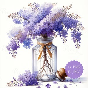 Aquarelle Jacaranda In Gläsern, Clip und Postern 13 PNG-13 JPEG| Jacaranda In Gläsern Kunst | Druckbare kommerzielle Nutzung, digitaler Download.