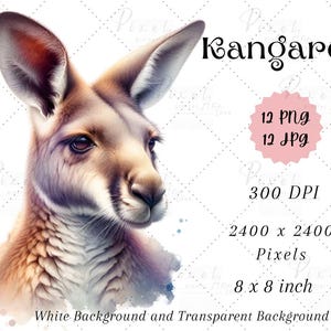 Watercolor Kangaroo Clipart: Adorable Animal Illustration (Digital Download)
