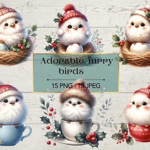 Adorables pájaros peludos Clipart - Pósteres Acuarela, 15 PNG, 15 JPEG, Colecciones de dibujos animados de pájaros lindos, Descarga digital instantánea.