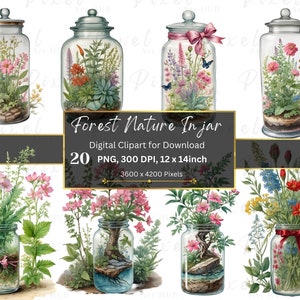 Watercolor botanical in jar, Forest Nature in a jars Clip art , File PNG Image 20 high quality Digital Download commercial use.