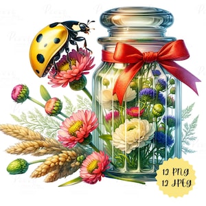 Gelber Marienkäfer im Glas, Aquarell, Marienkäfer und Blumen, Clipart & Poster, 12 PNG-12 JPEG, Dateien, Digital Download Kommerzielle Nutzung
