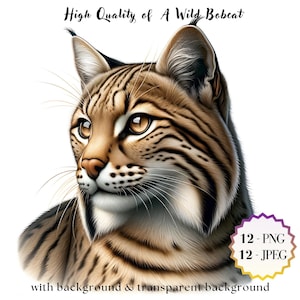 純銀 カナダ 1oz　山猫座・ボブキャット・リンクス 純銀 カナダ 1oz 山猫座・ボブキャット・リンクス 31.1グラム