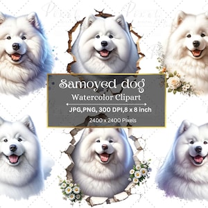 Watercolor Cute Samoyed Dog Clipart, adorable Samoyed dog, File JPG-PNG, Digital Clipart, Digital Download for commercial use