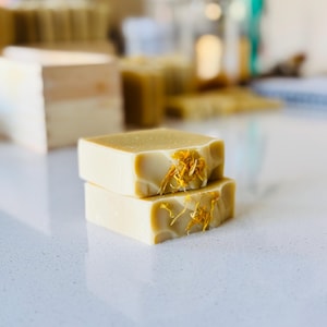 4oz Natural Plant Body Bar Soap