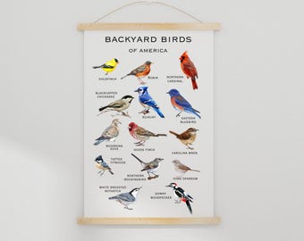 Backyard Birds of America poster.  Bird Illustrations. Gift for bird lovers. Home Decoration