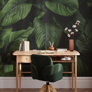Carta da parati con grandi foglie di foresta di pini tropicali, carta da parati murale con piante verdi staccabile e attaccabile, carta da parati murale con foglie serene, decorazione murale autoadesiva