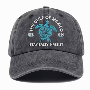 Gulf of Mexico Stay Salty Resistance Embroidered Hat, Subtle Political Hat, Resist Cap, Ridley Turtle Hat, Gift for Democrat