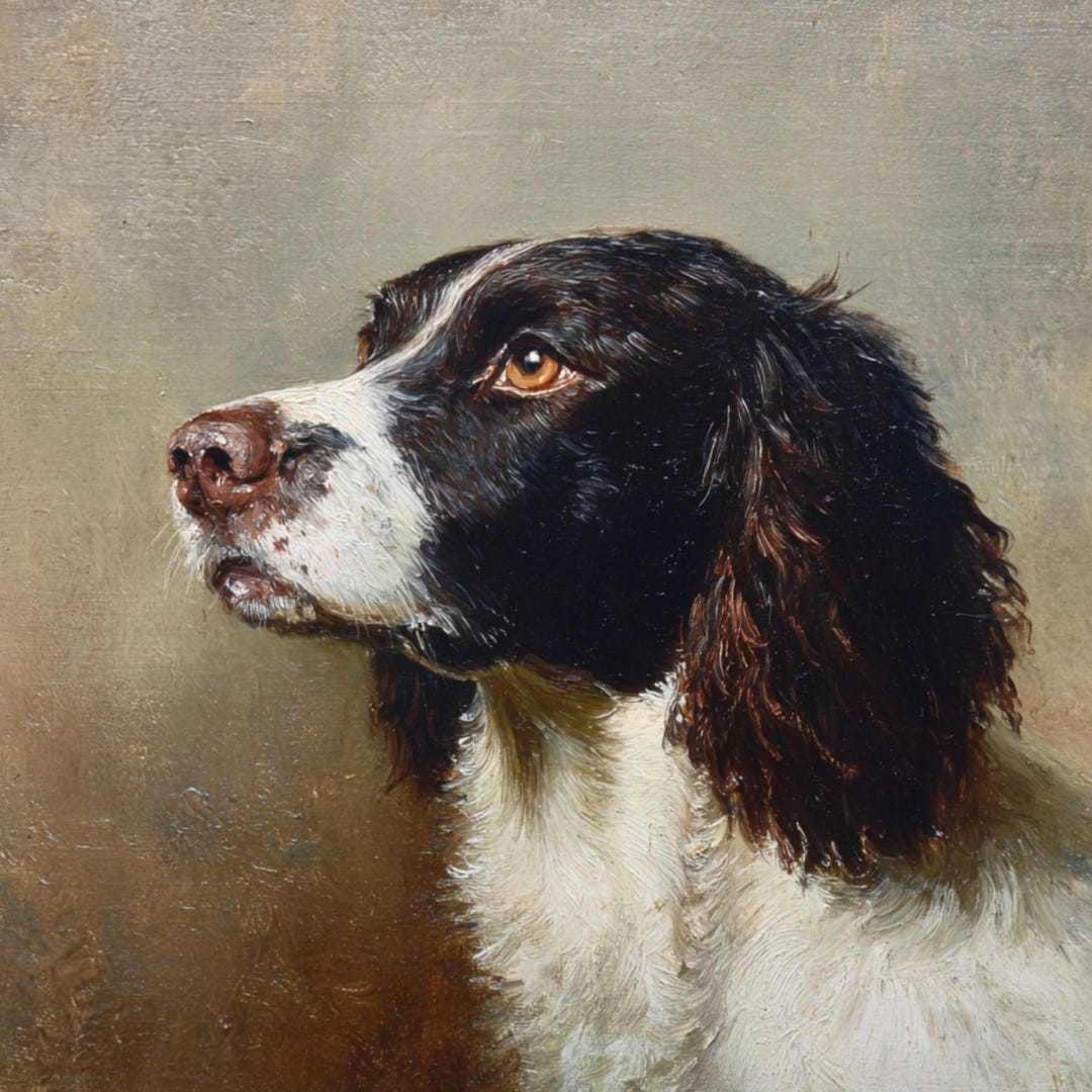 Springer Spaniel Portrait Print | Classic Dog Wall Art | Digital ...