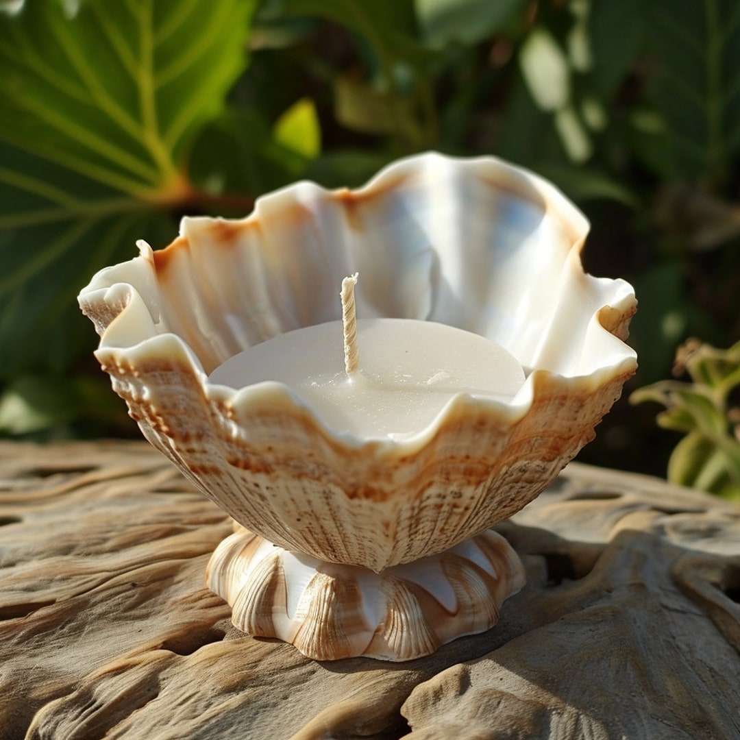 Shell Candle Container Illuminate Your Space With Handcrafted Shell Candle Holders - Etsy