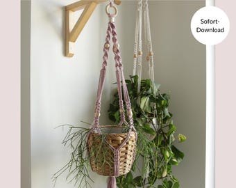 Instrucciones para colgar plantas de macramé en PDF: perfectas para principiantes