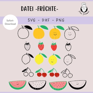 Plotterbestand fruit in verschillende uitvoeringen – plot geweldige zomeraccessoires