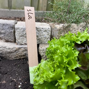 Plantenlabels voor moestuin 6 stuks