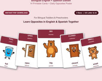 May include: A set of bilingual English and Spanish flashcards titled Opposites Flashcards. The cards feature illustrations of a glass, a door, and a bear with text labels like Full, Open, Big, Closed, and Small. The set includes 14 printable cards.