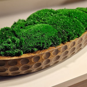 May include: A wooden bowl with a textured surface, filled with green moss. The bowl is oval shaped and has a dark brown colour.