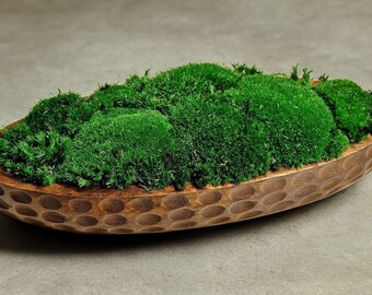 Moss Bowl Centerpiece From Mango Wood For Housewarming Home Decor Preserved Stabilized Green Cushion Pillow Decorative Table Art