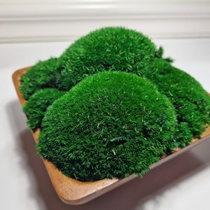 Moss Bowl Centerpiece For Dining Table, Housewarming Gift, Rustic Table Decor, Preserved Bun Moss Arrangement For Wedding, Good Mood Art