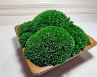 Moss Bowl Centerpiece For Dining Table, Housewarming Gift, Rustic Table Decor, Preserved Bun Moss Arrangement For Wedding, Good Mood Art
