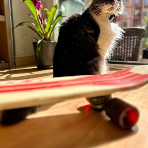 fiber glass 70s skateboard
Rocket. vintage skateboard Cat