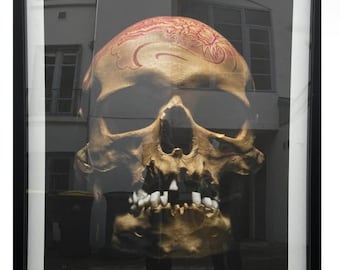 PHILIPPE PASQUA, skull