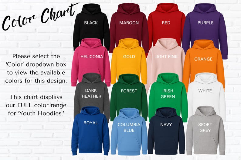 Youth Hoodies Collection, Variety of Colors, Comfortable Everyday Wear, Ideal Gift for Kids, Soft Warm Hooded Sweatshirt